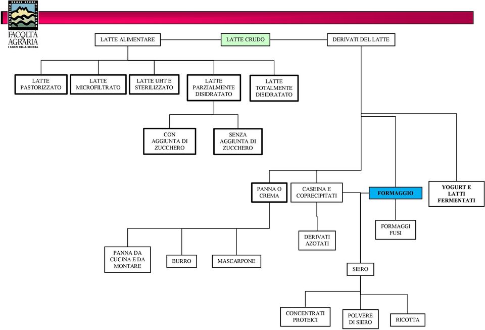 AGGIUNTA DI ZUCCHERO PANNA O CREMA CASEINA E COPRECIPITATI FORMAGGIO YOGURT E LATTI FERMENTATI DERIVATI