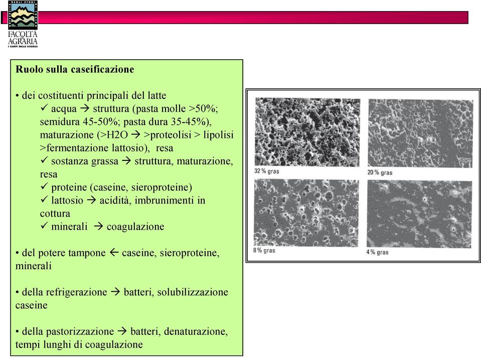 proteine (caseine, sieroproteine) lattosio acidità, imbrunimenti in cottura minerali coagulazione del potere tampone caseine,