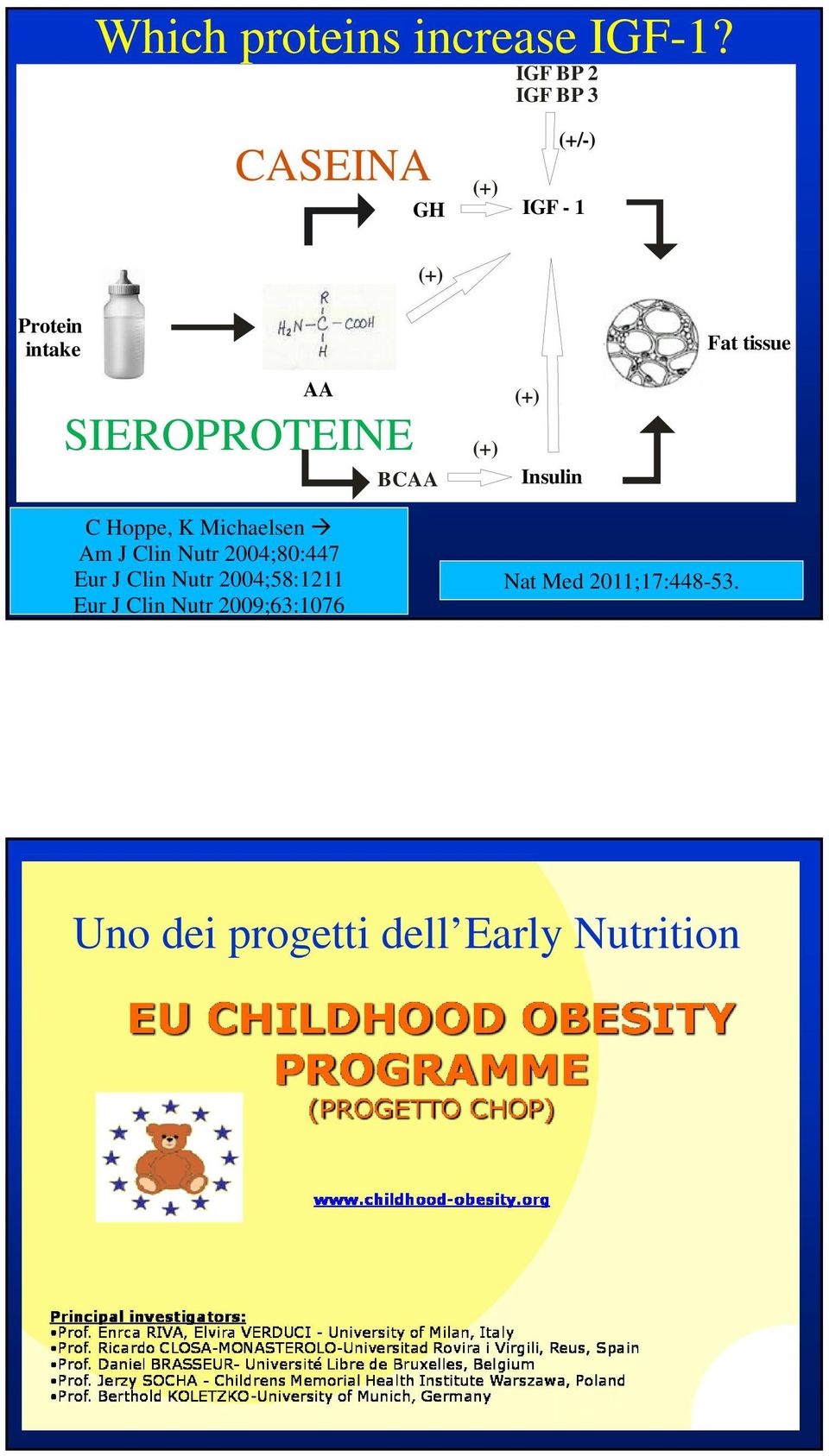 AA SIEROPROTEINE C Hoppe, K Michaelsen Am J Clin Nutr 2004;80:447 Eur J Clin