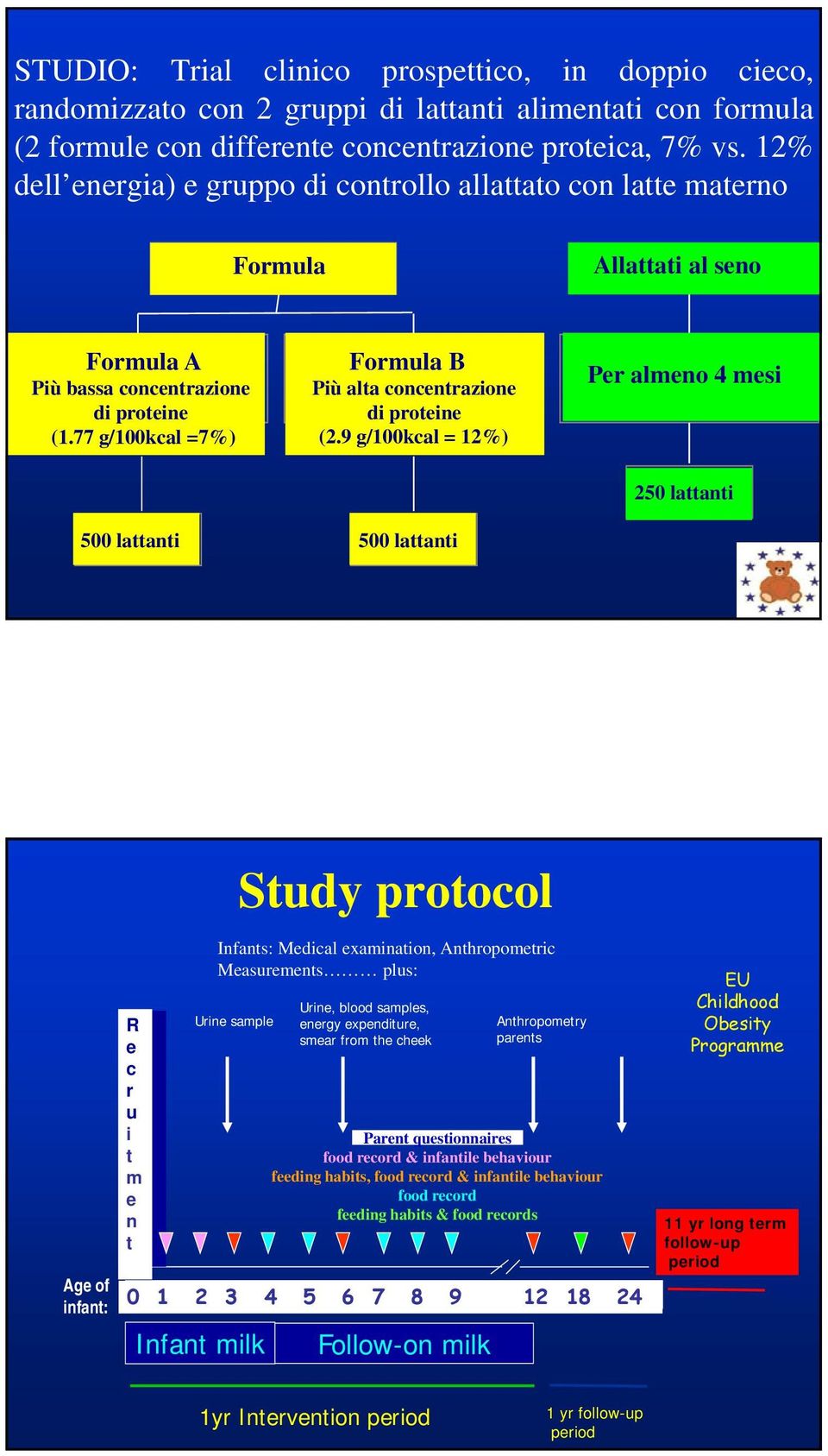 77 g/100kcal =7%) Formula B Più alta concentrazione di proteine (2.