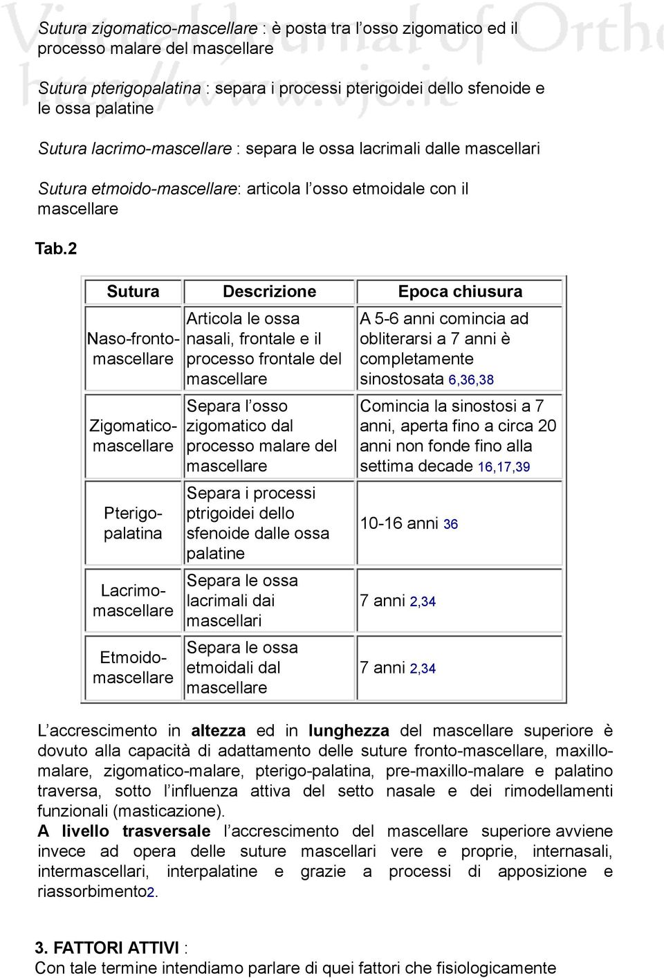 2 Sutura Descrizione Epoca chiusura Naso-frontomascellare Zigomaticomascellare Pterigopalatina Lacrimomascellare Etmoidomascellare Articola le ossa nasali, frontale e il processo frontale del