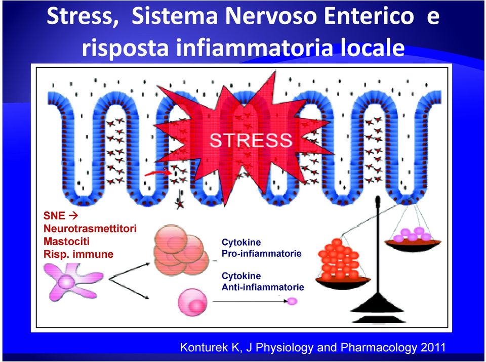 immune Cytokine Pro-infiammatorie