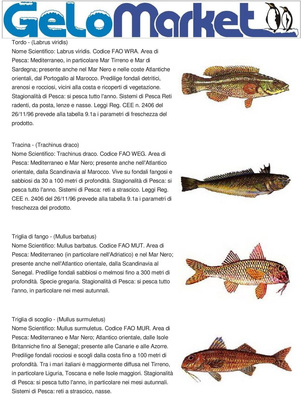 Predilige fondali detritici, arenosi e rocciosi, vicini alla costa e ricoperti di vegetazione. Stagionalità di Pesca: si pesca tutto l'anno. Sistemi di Pesca Reti radenti, da posta, lenze e nasse.