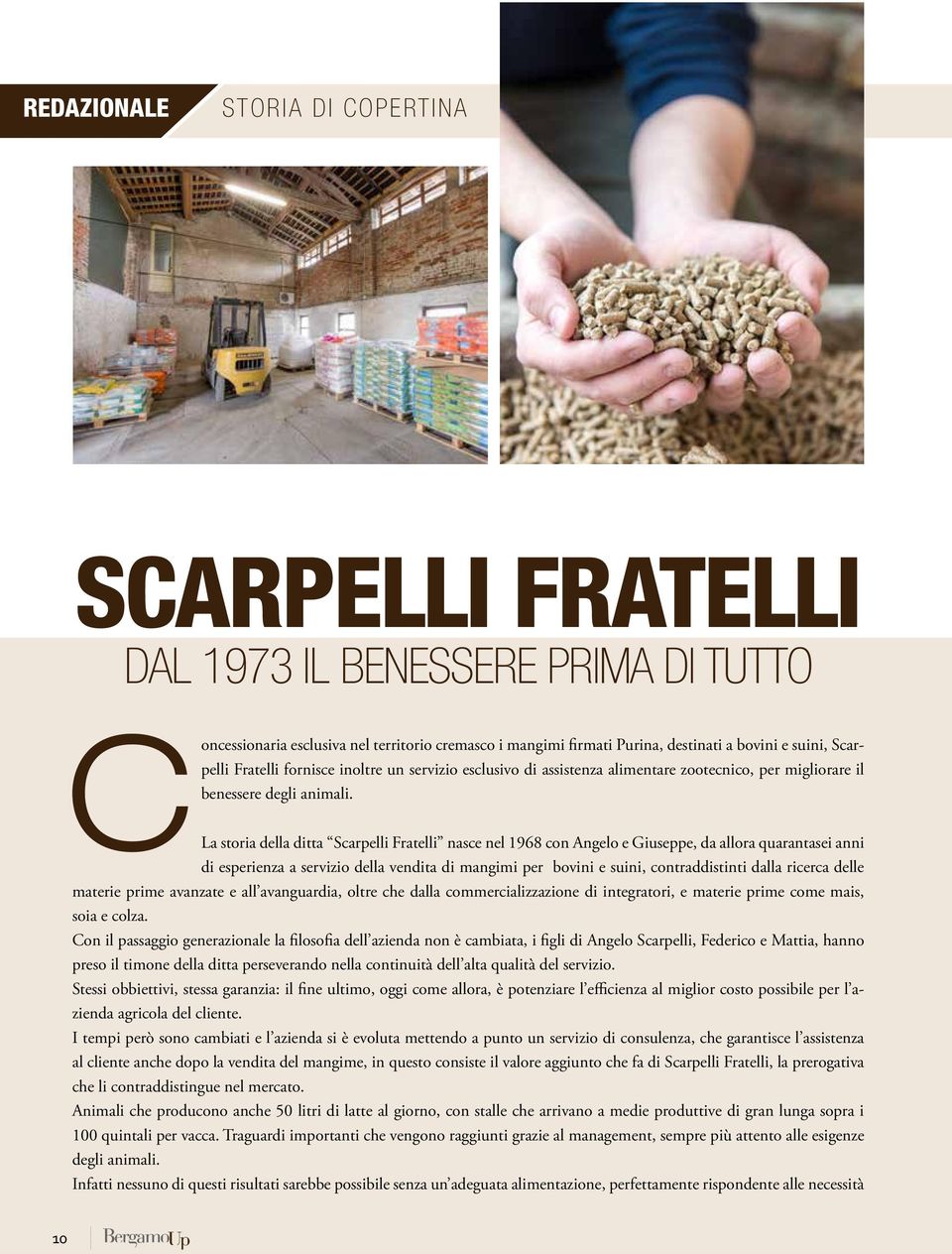 La storia della ditta Scarpelli Fratelli nasce nel 1968 con Angelo e Giuseppe, da allora quarantasei anni di esperienza a servizio della vendita di mangimi per bovini e suini, contraddistinti dalla
