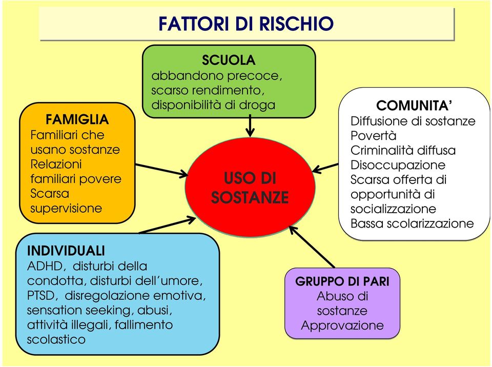 Scarsa offerta di opportunità di socializzazione Bassa scolarizzazione INDIVIDUALI ADHD, disturbi della condotta, disturbi dell umore,