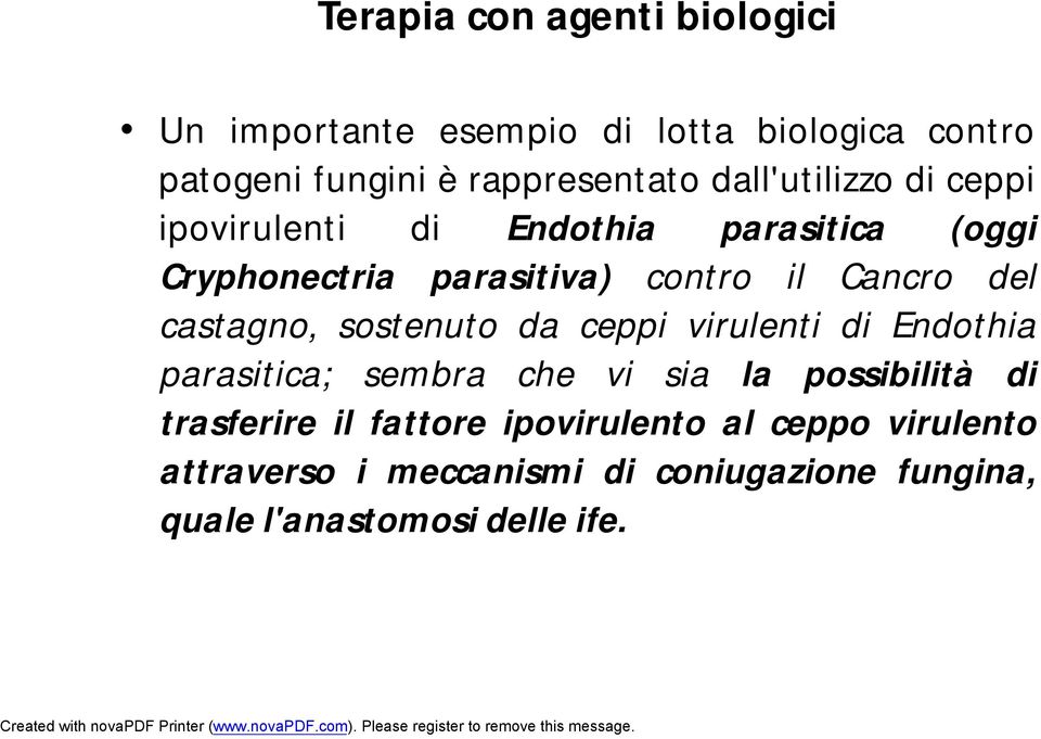 castagno, sostenuto da ceppi virulenti di Endothia parasitica; sembra che vi sia la possibilità di trasferire il