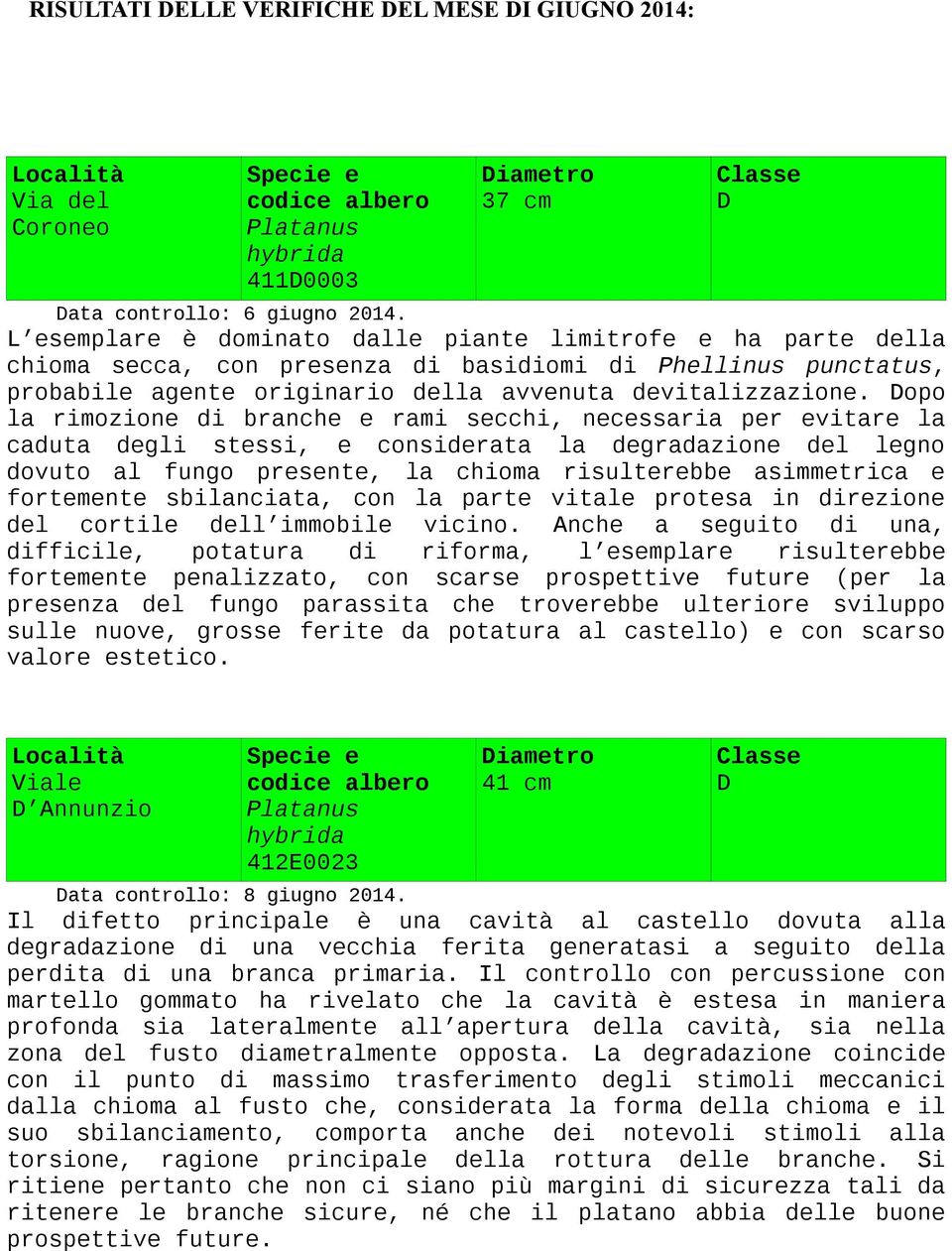 opo la rimozione di branche e rami secchi, necessaria per evitare la caduta degli stessi, e considerata la degradazione del legno dovuto al fungo presente, la chioma risulterebbe asimmetrica e