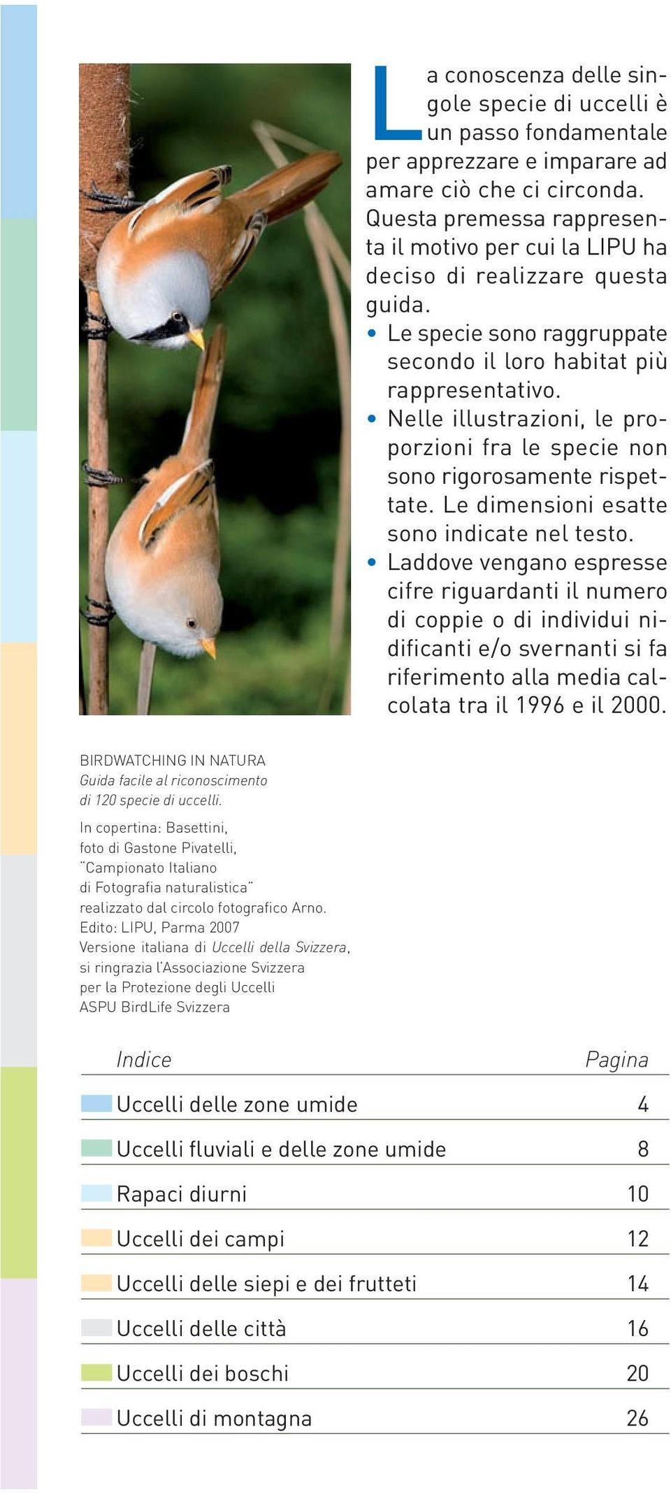 Nelle illustrazioni, le proporzioni fra le specie non sono rigorosamente rispettate. Le dimensioni esatte sono indicate nel testo.