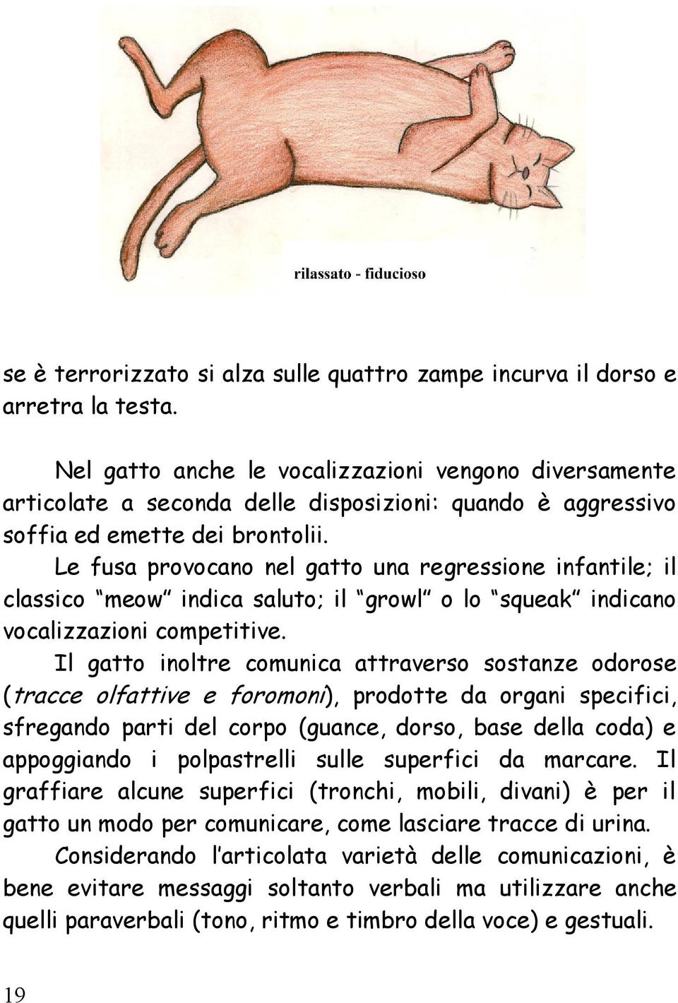 Le fusa provocano nel gatto una regressione infantile; il classico meow indica saluto; il growl o lo squeak indicano vocalizzazioni competitive.