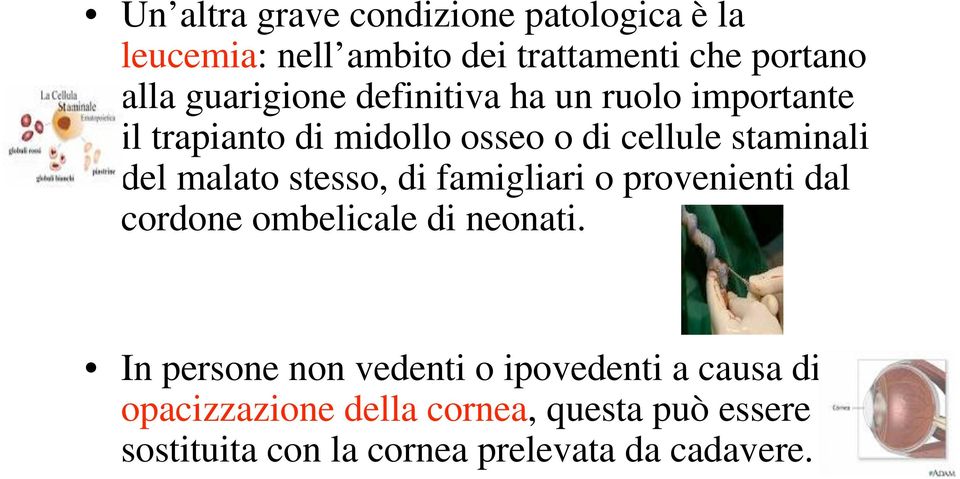 malato stesso, di famigliari o provenienti dal cordone ombelicale di neonati.