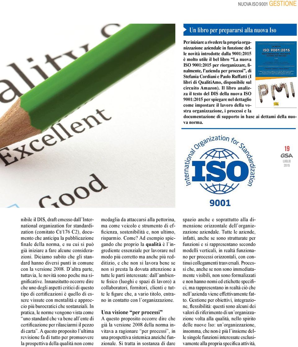 Il libro analizza il testo del DIS della nuova ISO 9001: per spiegare nel dettaglio come impostare il lavoro della vostra organizzazione, i processi e la documentazione di supporto in base ai dettami