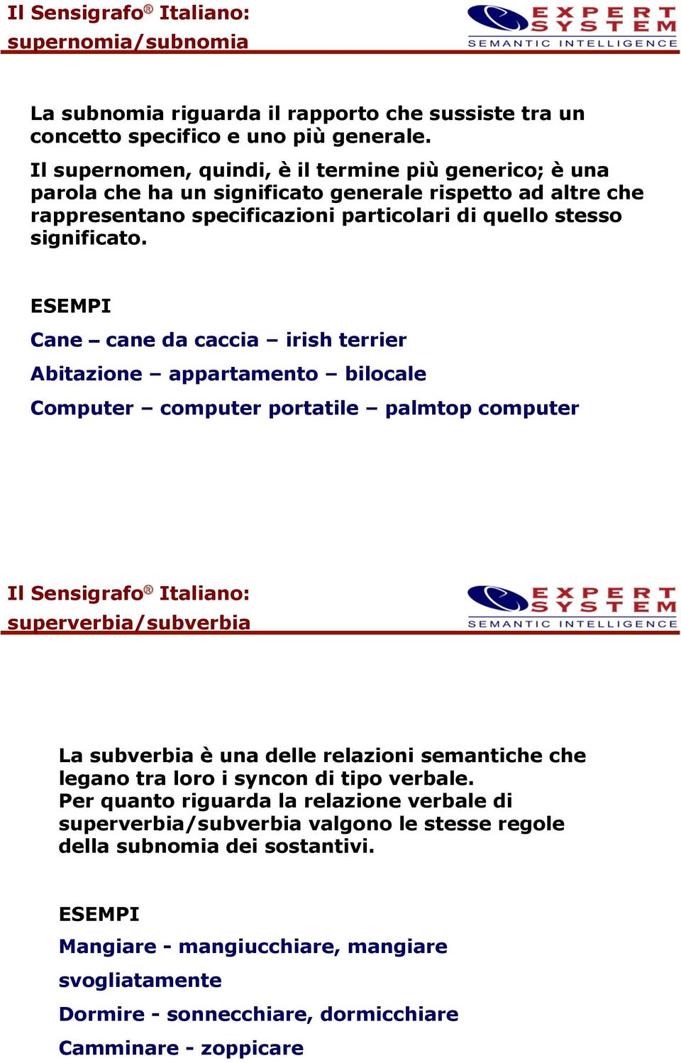 ESEMPI Cane cane da caccia irish terrier Abitazione appartamento bilocale Computer computer portatile palmtop computer Il Sensigrafo Italiano: superverbia/subverbia La subverbia è una delle relazioni