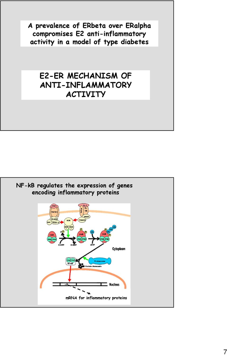MECHANISM OF ANTI-INFLAMMATORY ACTIVITY NF-kB regulates the