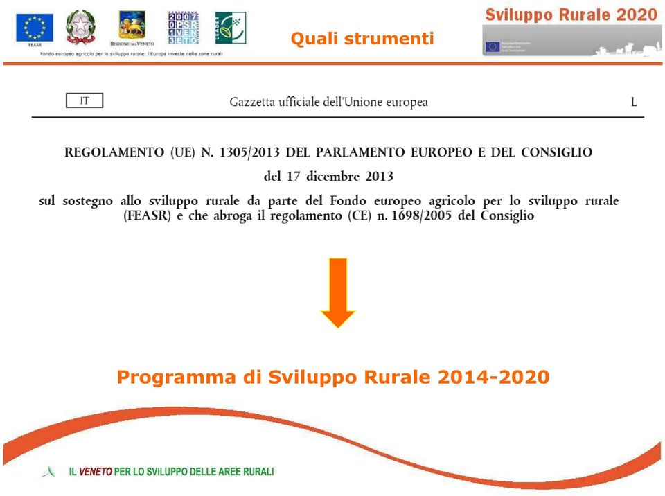 Programma di