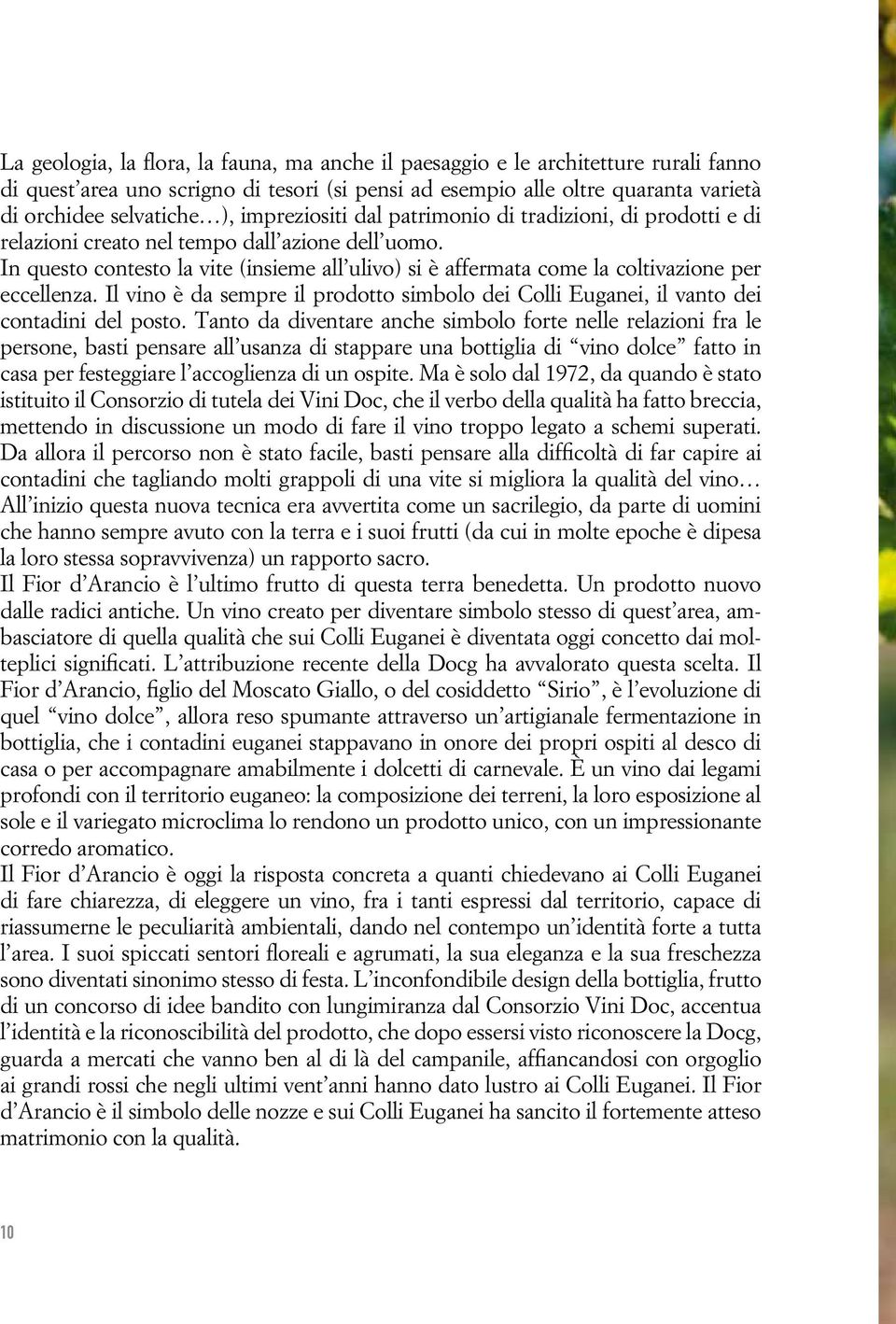 In questo contesto la vite (insieme all ulivo) si è affermata come la coltivazione per eccellenza. Il vino è da sempre il prodotto simbolo dei Colli Euganei, il vanto dei contadini del posto.