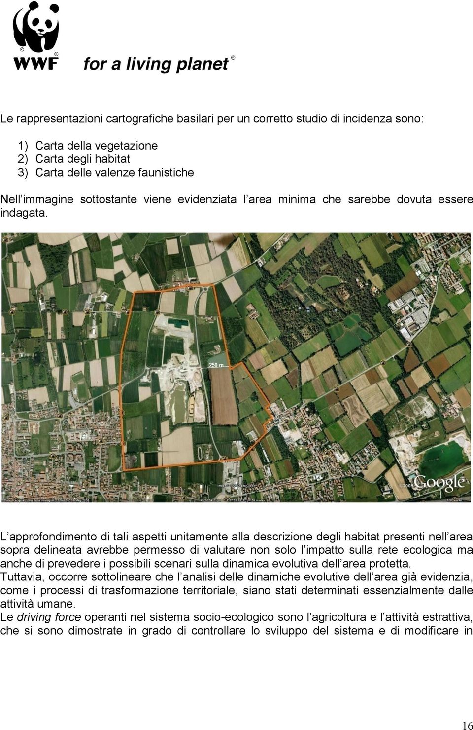 L approfondimento di tali aspetti unitamente alla descrizione degli habitat presenti nell area sopra delineata avrebbe permesso di valutare non solo l impatto sulla rete ecologica ma anche di