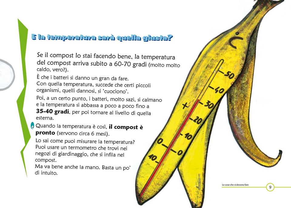 Poi, a un certo punto, i batteri, molto sazi, si calmano e la temperatura si abbassa a poco a poco fino a 35-40 gradi, per poi tornare al livello di quella esterna.