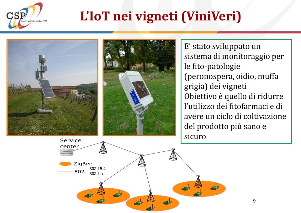 dei vigneti Obiettivo è quello di ridurre l utilizzo dei fitofarmaci e