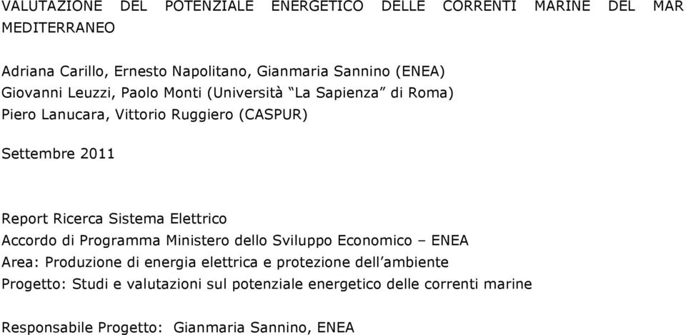 Ricerca Sistema Elettrico Accordo di Programma Ministero dello Sviluppo Economico ENEA Area: Produzione di energia elettrica e