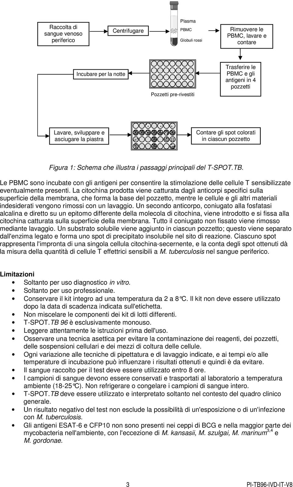 Le PBMC sono incubate con gli antigeni per consentire la stimolazione delle cellule T sensibilizzate eventualmente presenti.