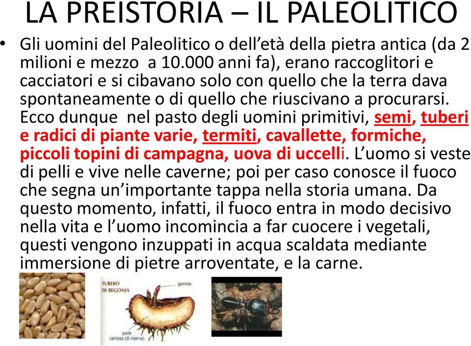 Ecco dunque nel pasto degli uomini primitivi, semi, tuberi e radici di piante varie, termiti, cavallette, formiche, piccoli topini di campagna, uova di uccelli.