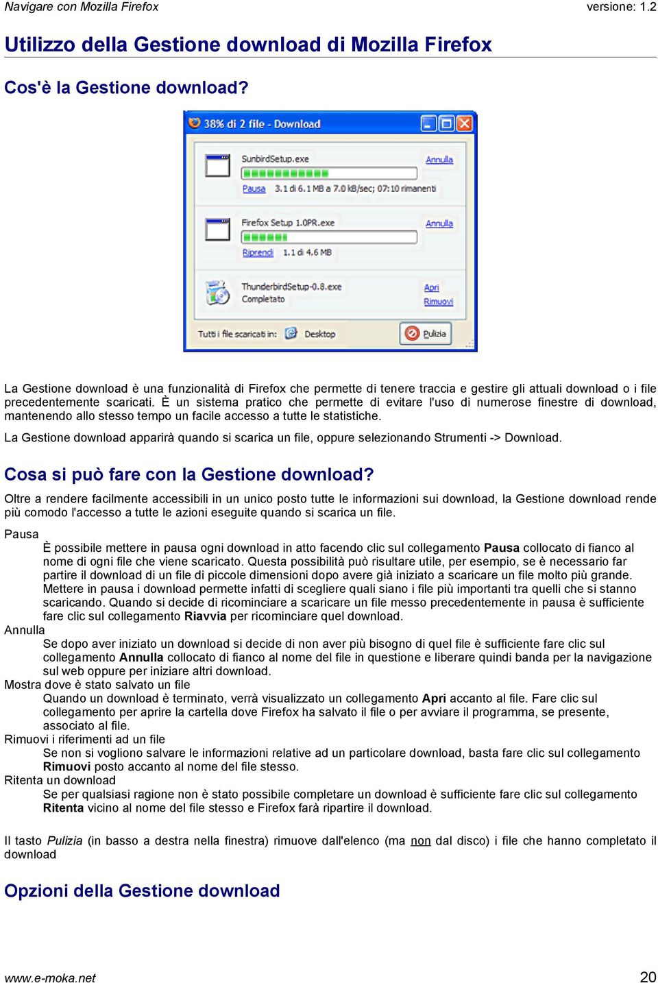 È un sistema pratico che permette di evitare l'uso di numerose finestre di download, mantenendo allo stesso tempo un facile accesso a tutte le statistiche.