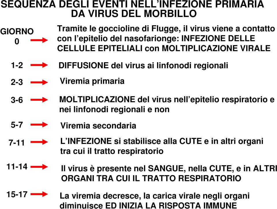 del virus nell epitelio respiratorio e nei linfonodi regionali e non Viremia secondaria L INFEZIONE si stabilisce alla CUTE e in altri organi tra cui il tratto respiratorio