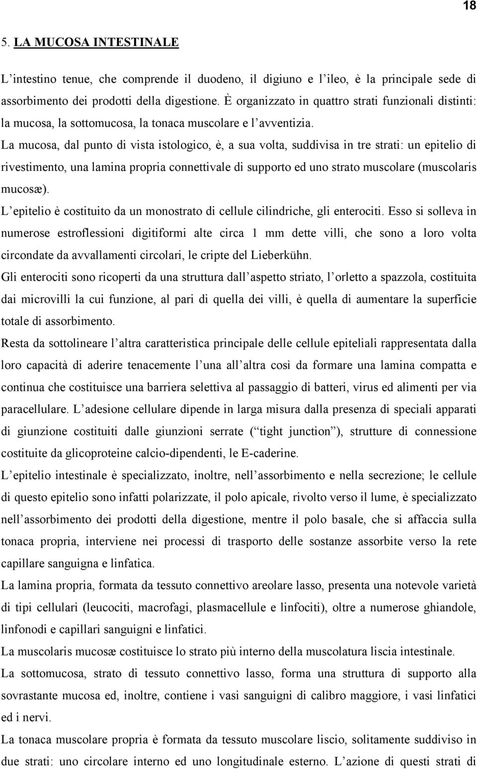 La mucosa, dal punto di vista istologico, è, a sua volta, suddivisa in tre strati: un epitelio di rivestimento, una lamina propria connettivale di supporto ed uno strato muscolare (muscolaris mucosæ).