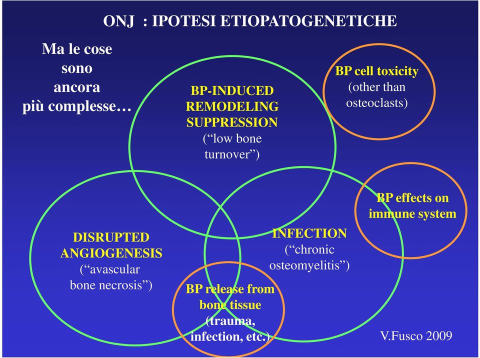 DISRUPTED ANGIOGENESIS ( avascular bone necrosis ) BP release from bone tissue