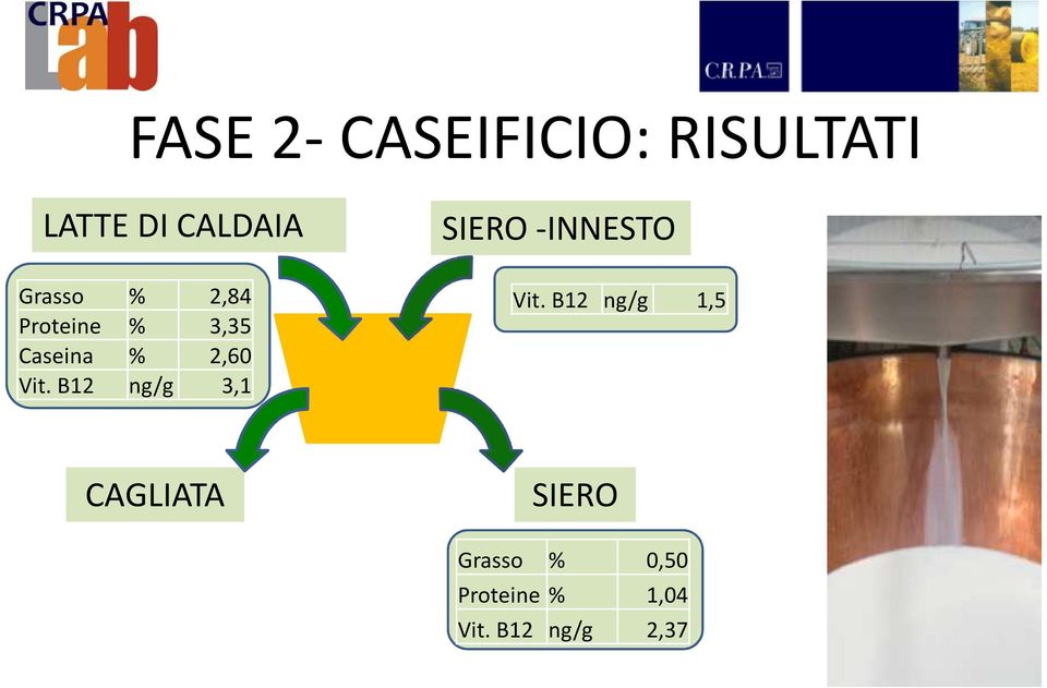 B12 ng/g 3,1 SIERO -INNESTO Vit.