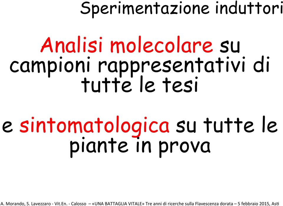 piante in prva A. Mrand, S. Lavezzar - Vit.En.