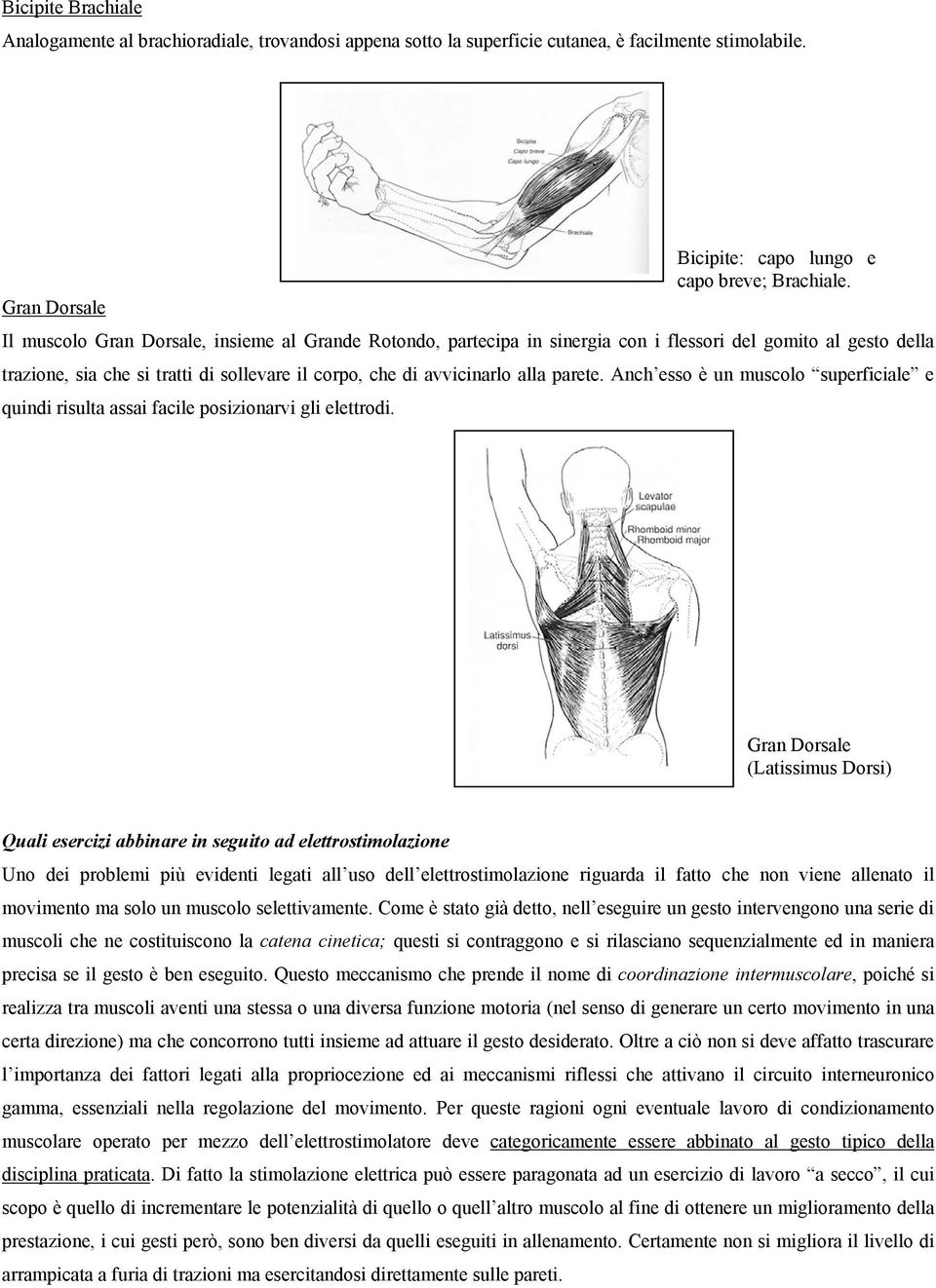 alla parete. Anch esso è un muscolo superficiale e quindi risulta assai facile posizionarvi gli elettrodi.