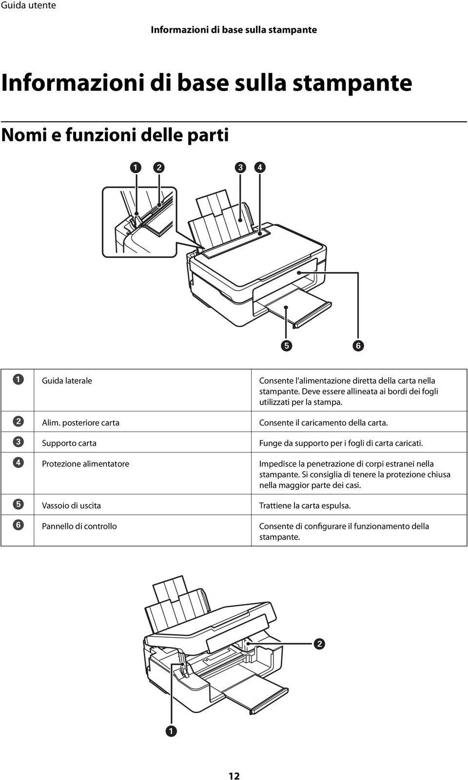 C Supporto carta Funge da supporto per i fogli di carta caricati. D Protezione alimentatore Impedisce la penetrazione di corpi estranei nella stampante.