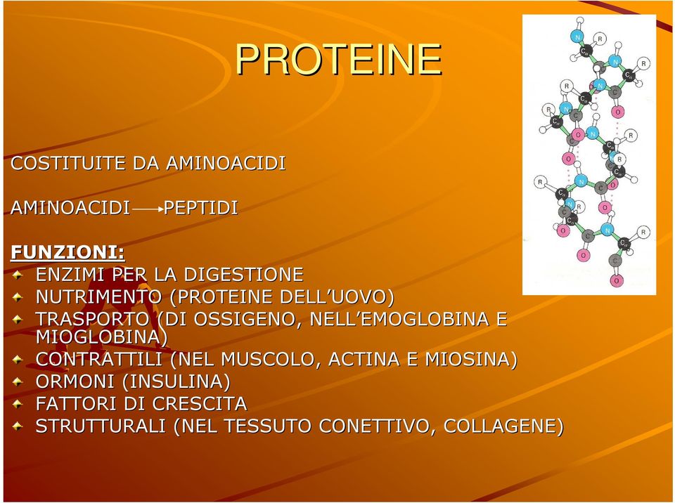 EMOGLOBINA EMOGLOBINA E MIOGLOBINA) CONTRATTILI (NEL MUSCOLO, ACTINA E