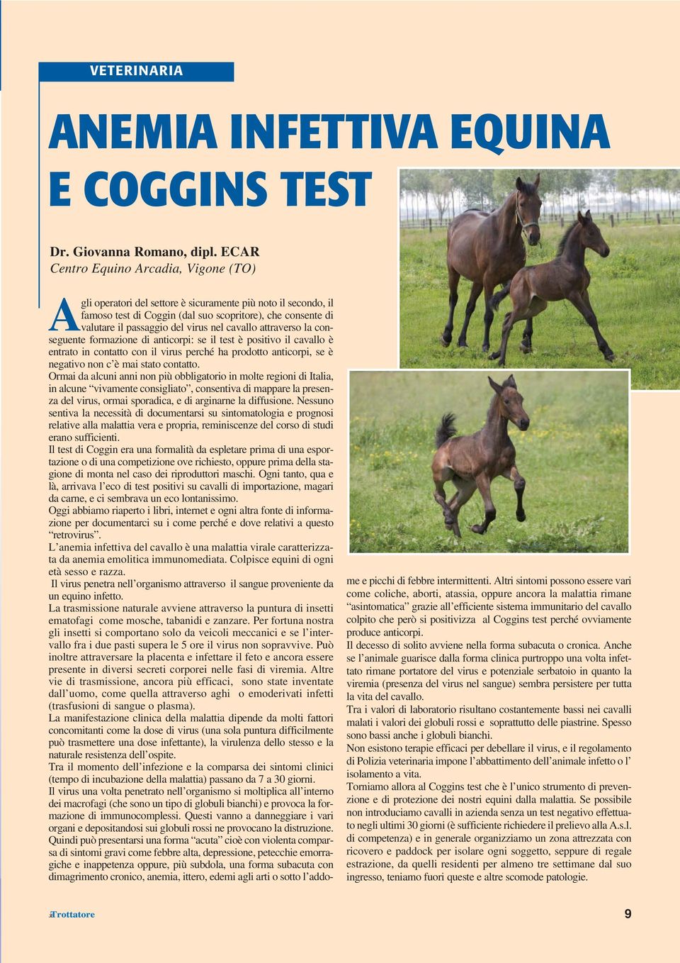 nel cavallo attraverso la conseguente formazione di anticorpi: se il test è positivo il cavallo è entrato in contatto con il virus perché ha prodotto anticorpi, se è negativo non c è mai stato