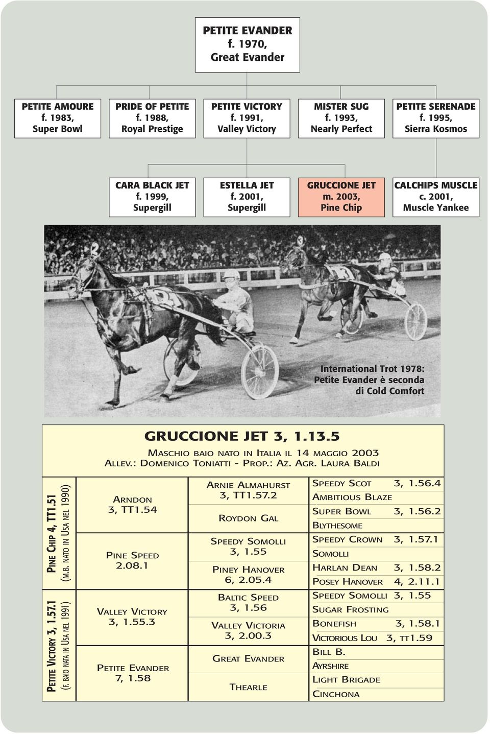 2001, Muscle Yankee International Trot 1978: Petite Evander è seconda di Cold Comfort GRUCCIONE JET 3, 1.13.5 MASCHIO BAIO NATO IN ITALIA IL 14 MAGGIO 2003 ALLEV.: DOMENICO TONIATTI - PROP.: AZ. AGR.