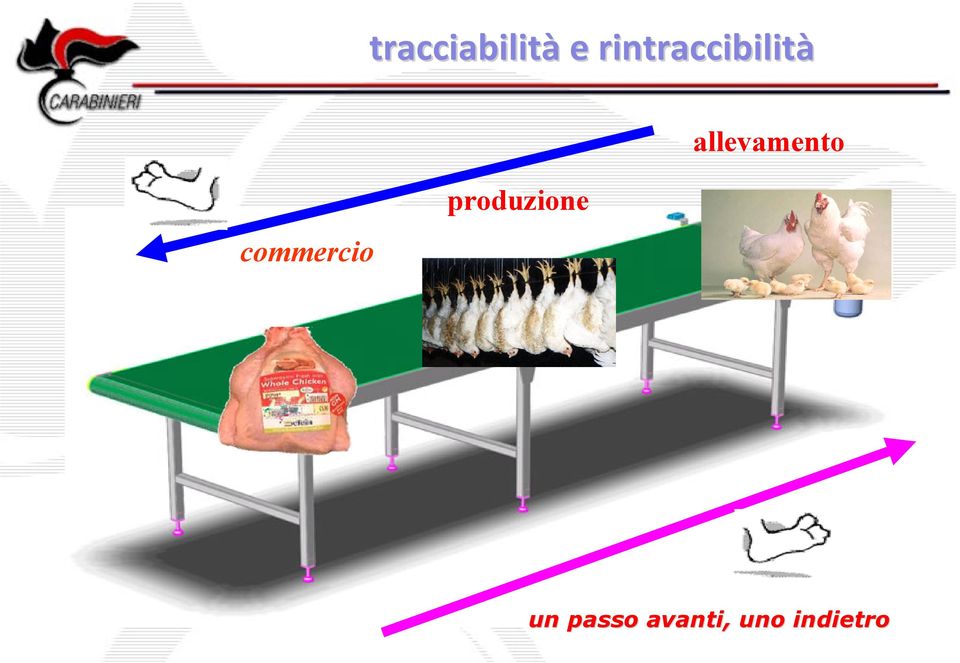 allevamento commercio