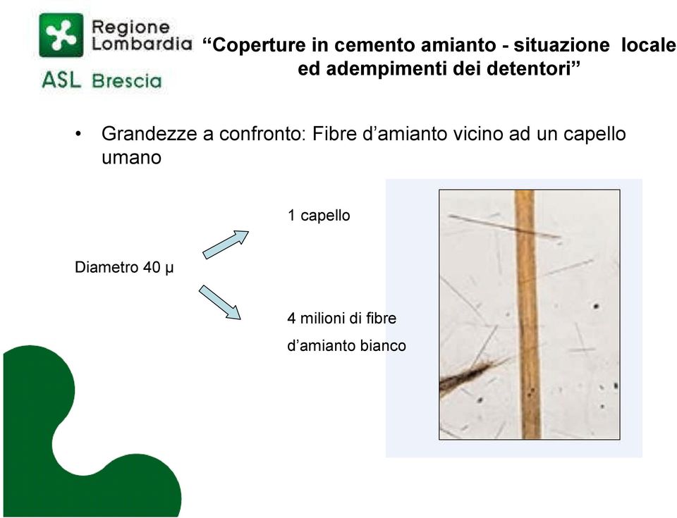 confronto: Fibre d amianto vicino ad un capello