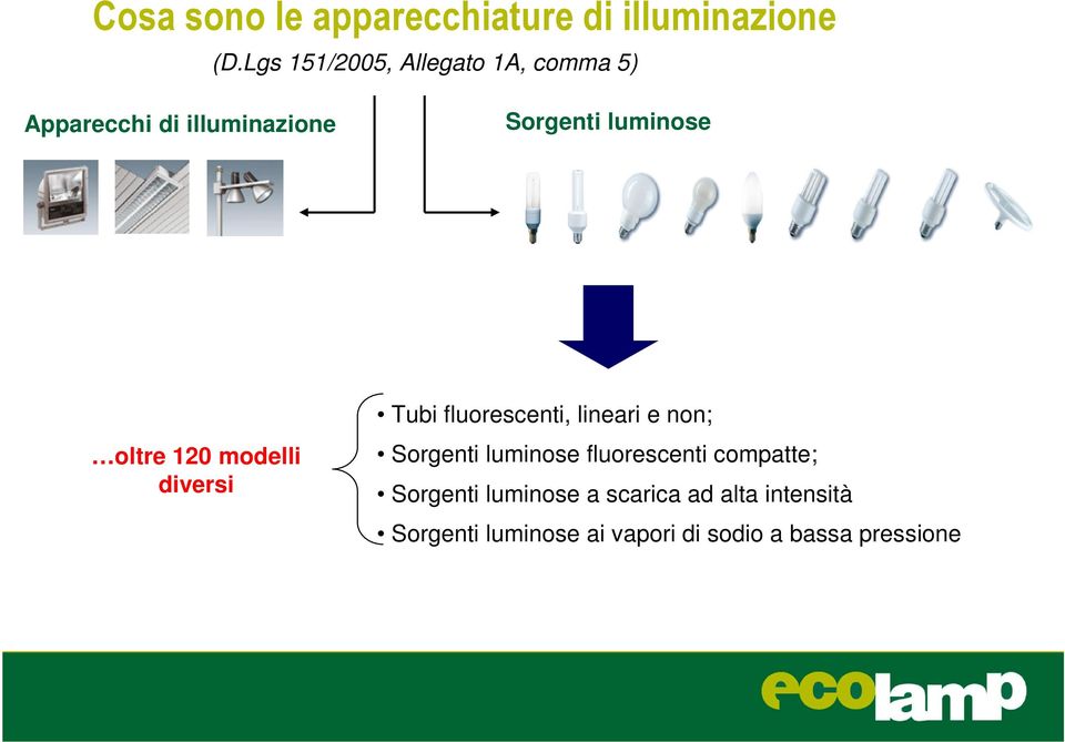 oltre 120 modelli diversi Tubi fluorescenti, lineari e non; Sorgenti luminose