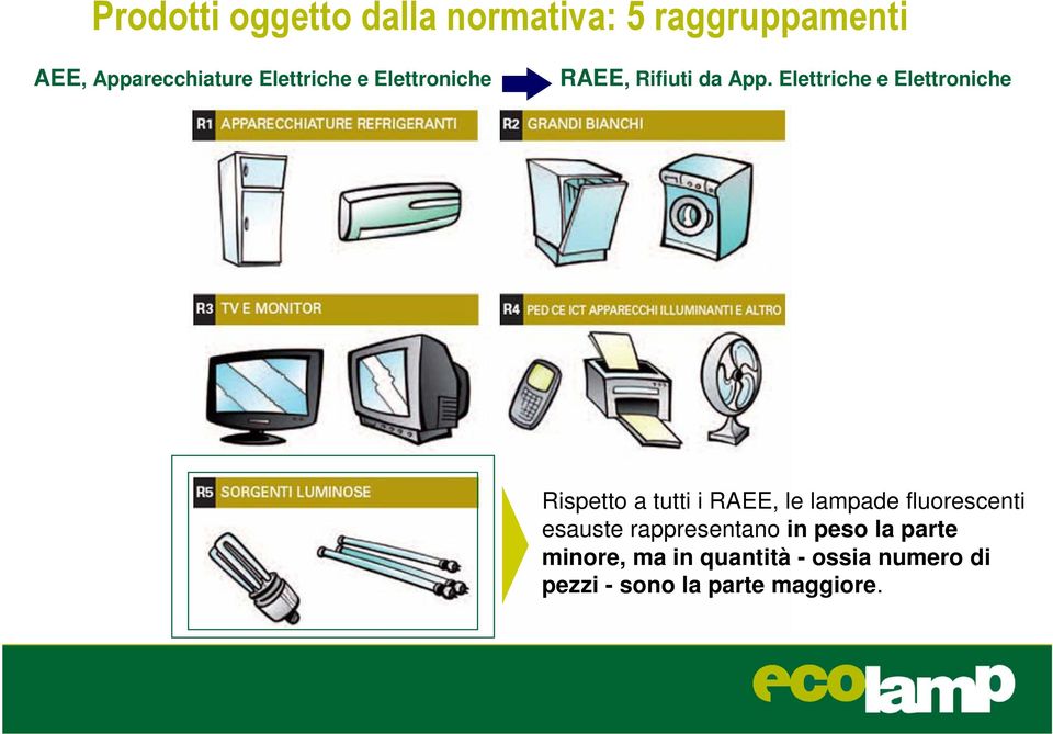 Elettriche e Elettroniche Rispetto a tutti i RAEE, le lampade fluorescenti