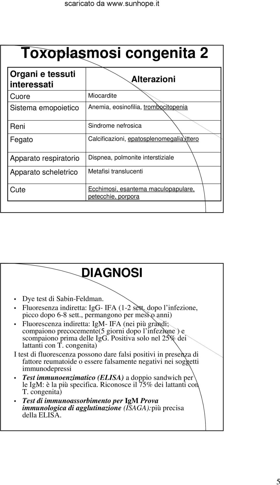 test di Sabin-Feldman. Fluoresenza indiretta: IgG- IFA (1-2 sett. dopo l infezione, picco dopo 6-8 sett.