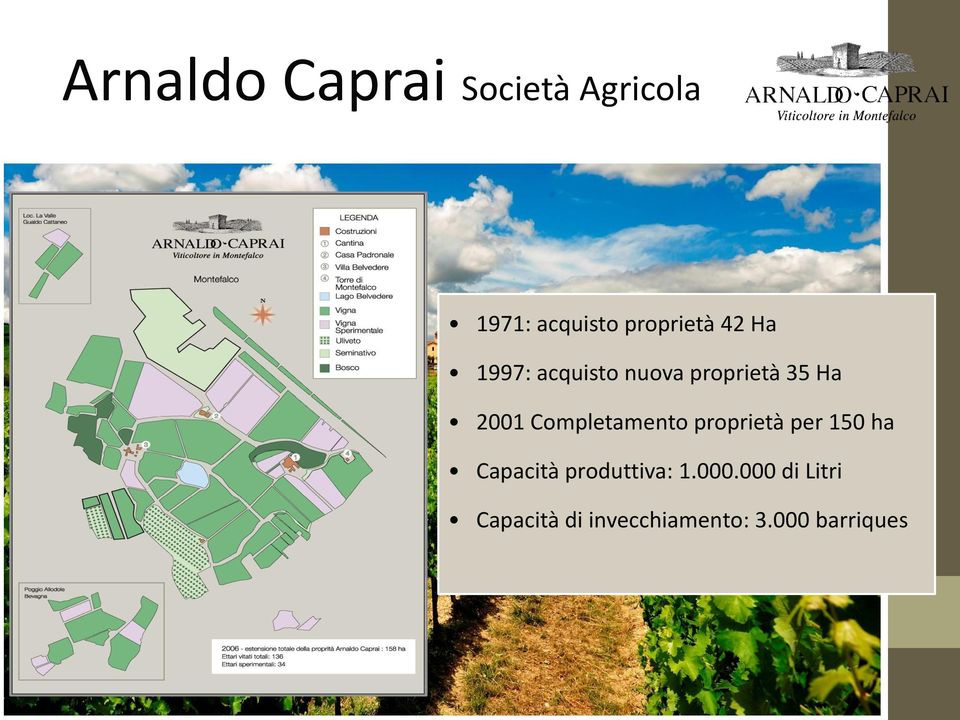 2001 Completamento proprietà per 150 ha Capacità