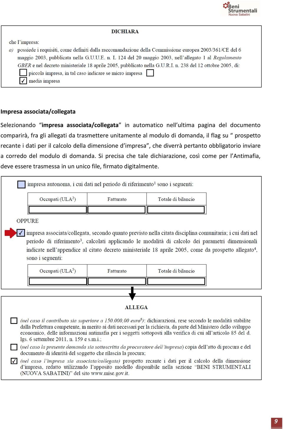 il calcolo della dimensione d impresa, che diverrà pertanto obbligatorio inviare a corredo del modulo di domanda.