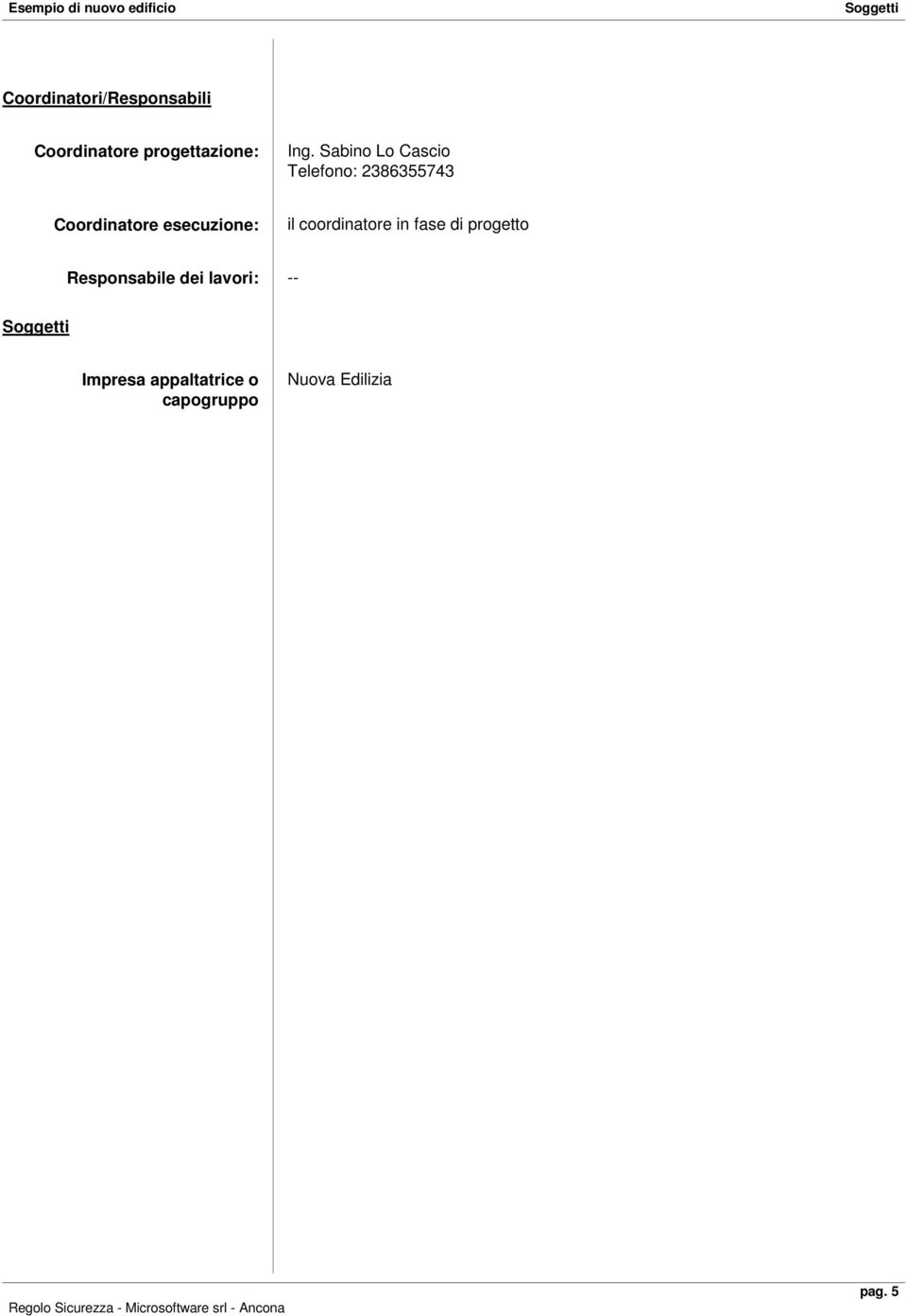 esecuzione: il coordinatore in fase di progetto Responsabile dei