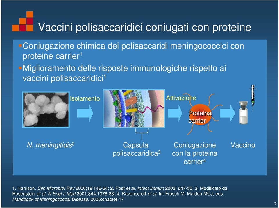 meningitidis 2 Capsula Coniugazione Vaccino polisaccaridica 3 con la proteina carrier 4 1. Harrison. Clin Microbiol Rev 2006;19:142-64; 2. Post et al.