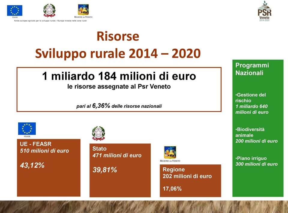 milioni di euro UE - FEASR 510 milioni di euro 43,12% Stato 471 milioni di euro 39,81% Regione