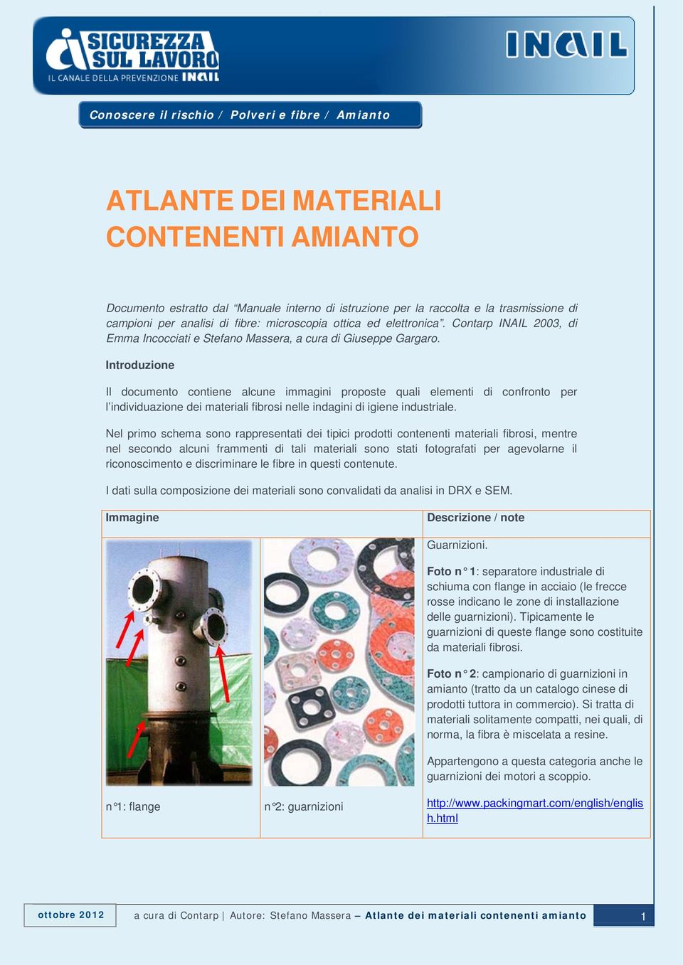 Introduzione Il documento contiene alcune immagini proposte quali elementi di confronto per l individuazione dei materiali fibrosi nelle indagini di igiene industriale.