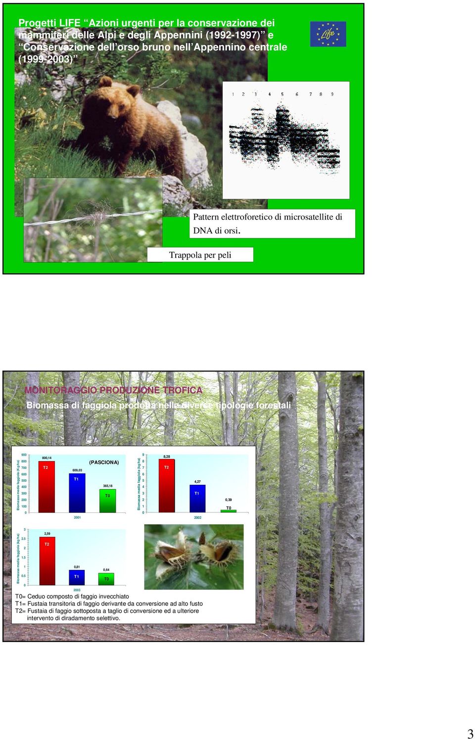 Trappola per peli MONITORAGGIO PRODUZIONE TROFICA Biomassa di faggiola prodotta nelle diverse tipologie forestali Biomassa media faggiola (Kg/ha) 900 800 700 600 500 400 300 200 100 0 800,14 T2