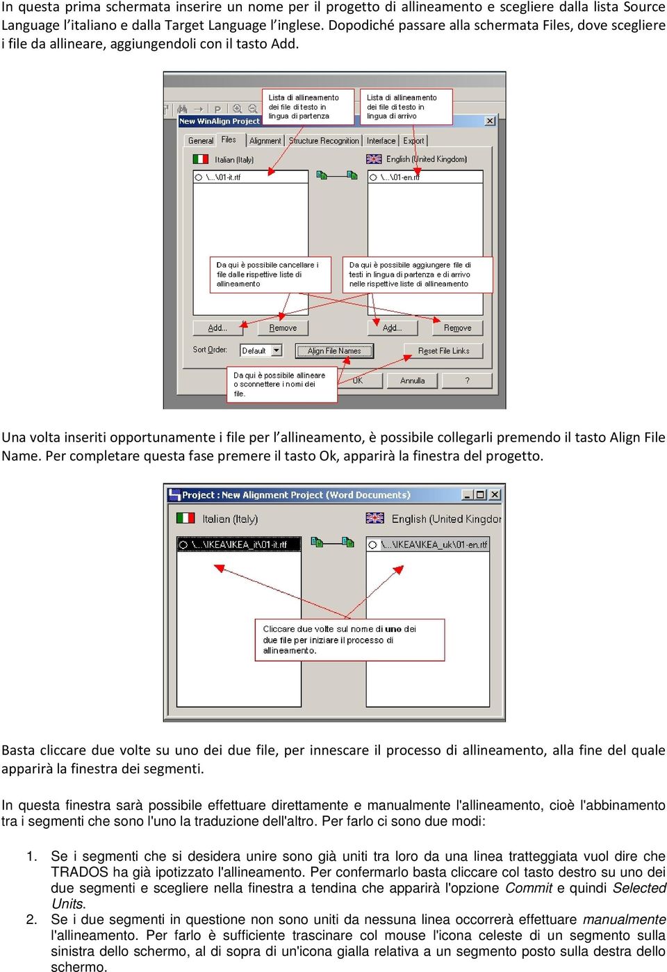 Una volta inseriti opportunamente i file per l allineamento, è possibile collegarli premendo il tasto Align File Name.