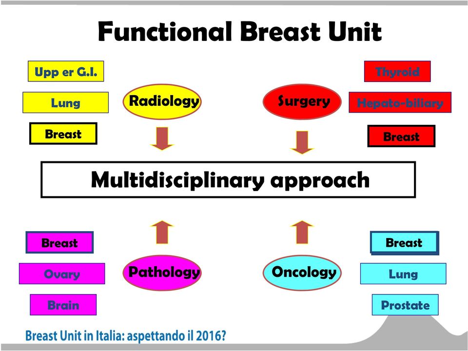 Hepato-biliary Breast Breast